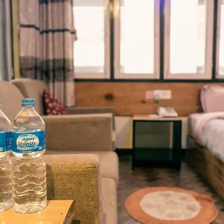 Hotel Shree Tara-3
